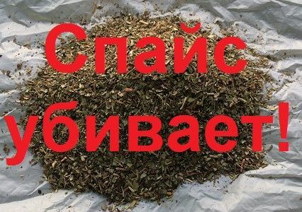 Спайсовая зависимость смертельна